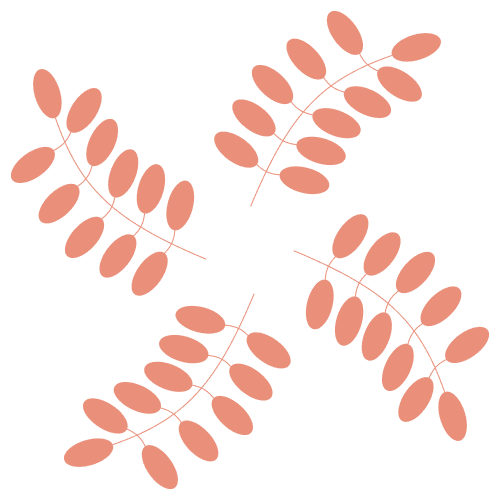 manifesto acacia